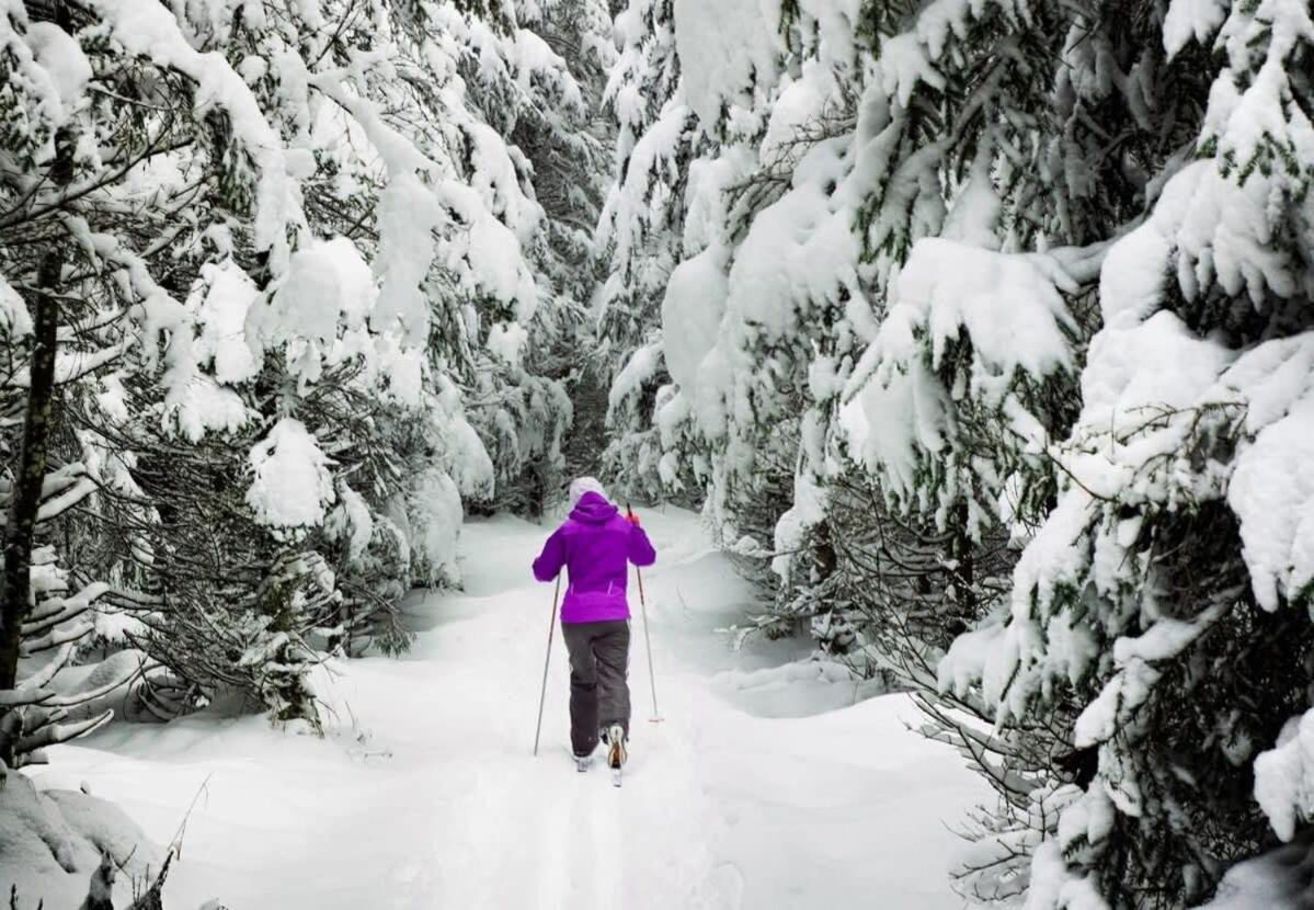 Cozy Val Disere Chalet Steps Into Town Breckenridge Luaran gambar